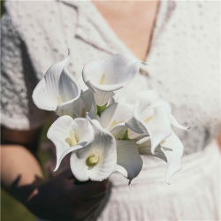 BOUQUET D'ARUM - Blanc x 4...