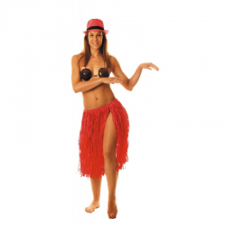JUPE RAFFIA/HAWAI - Rose...