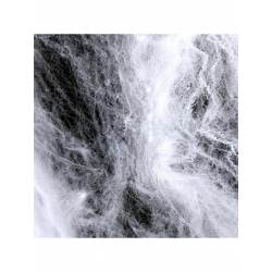 TOILE ARAIGNEE - Blanche...