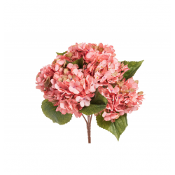 BOUQUET D'HORTENSIA -...