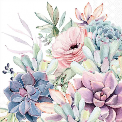 SERVIETTE - Succulentes...