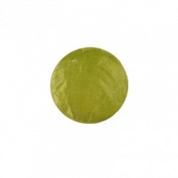 MARQUE PLACE/NACRE - Vert x...