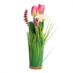 BOUQUET - Tulipe rose et...
