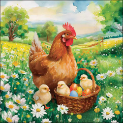 SERVIETTE - Madame Poule et...