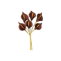 ARUMS - Marron x 24 (en...