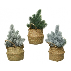 CENTRE DE TABLE - Sapin...