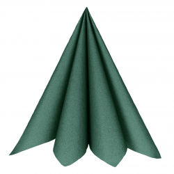 SERVIETTE CELISOFT/INTISSE...