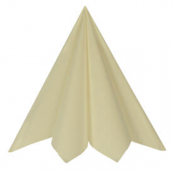 SERVIETTE CELISOFT/INTISSE...