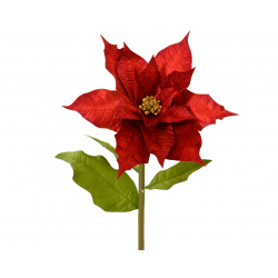 PIQUET/TIGE - Poinsettia...
