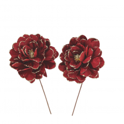 MAGNOLIAS - Rouge et...