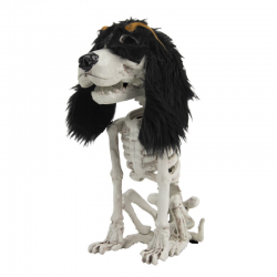 SQUELETTE - Chien assis (...