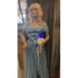 PRINCESSE BLEUE/CENDRILLON...