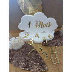 NUAGE - Ma première année...