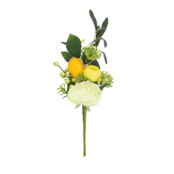 PIQUET/BRANCHE - Citron,...
