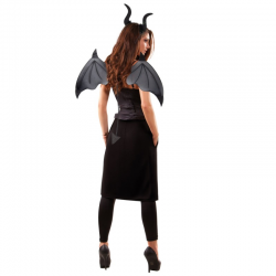 SET DE DIABLE NOIR - Ailes,...