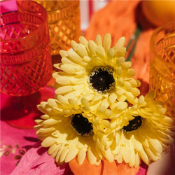 BOUQUET DE GERMINIS - Jaune...