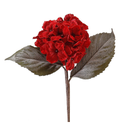 PIQUET/TIGE - Hortensia...