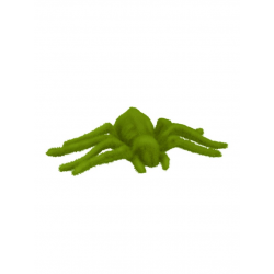 DECOR - Araignée verte...