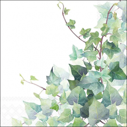 SERVIETTE - Branche de...