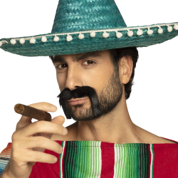 POSTICHE - Moustache...