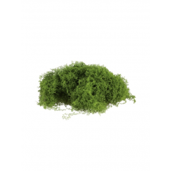 DECOR - Mousse verte...