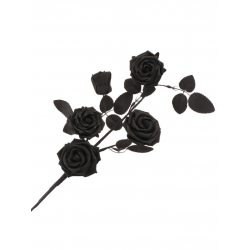 BRANCHE/TIGE - Roses noires...
