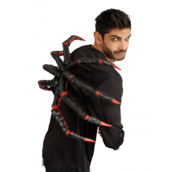 PATTE - Araignée...