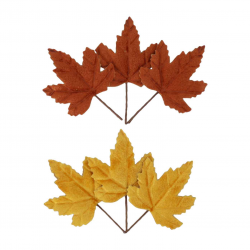 FEUILLE - Erable...