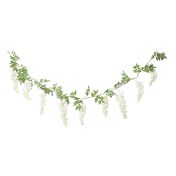 GUIRLANDE DE GLYCINE -...