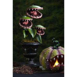 DECOR HALLOWEEN - Plante...