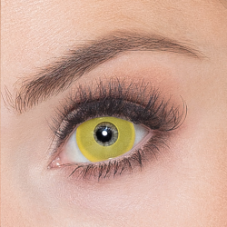 LENTILLE - Démon/jaune...