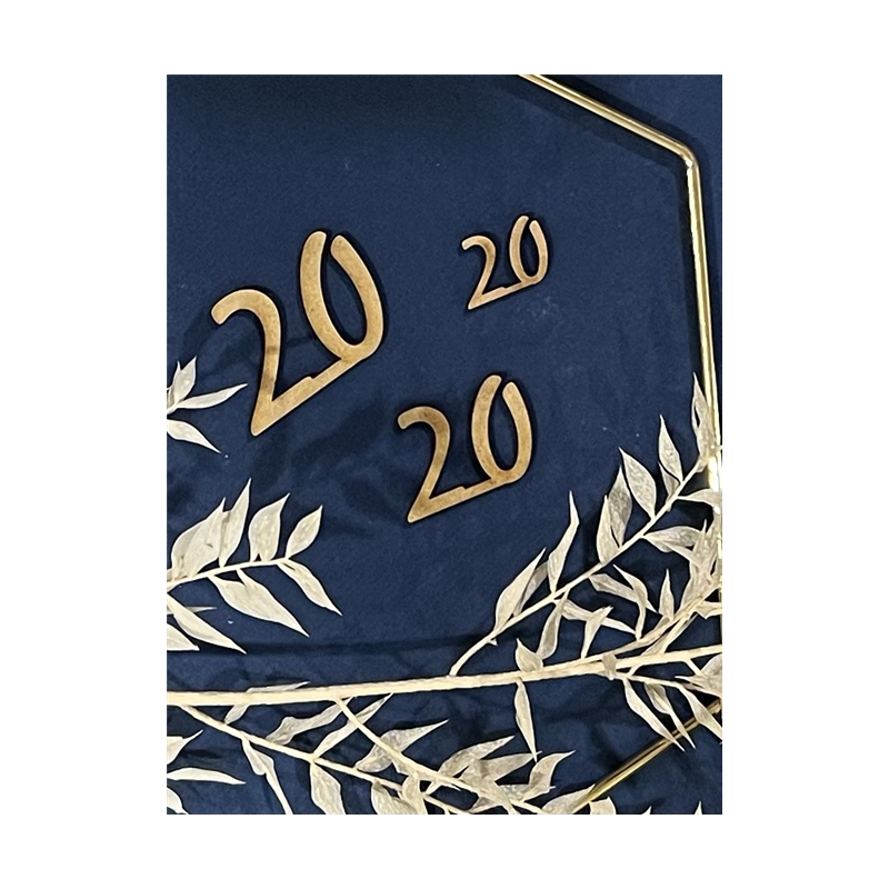 20 ans Banner