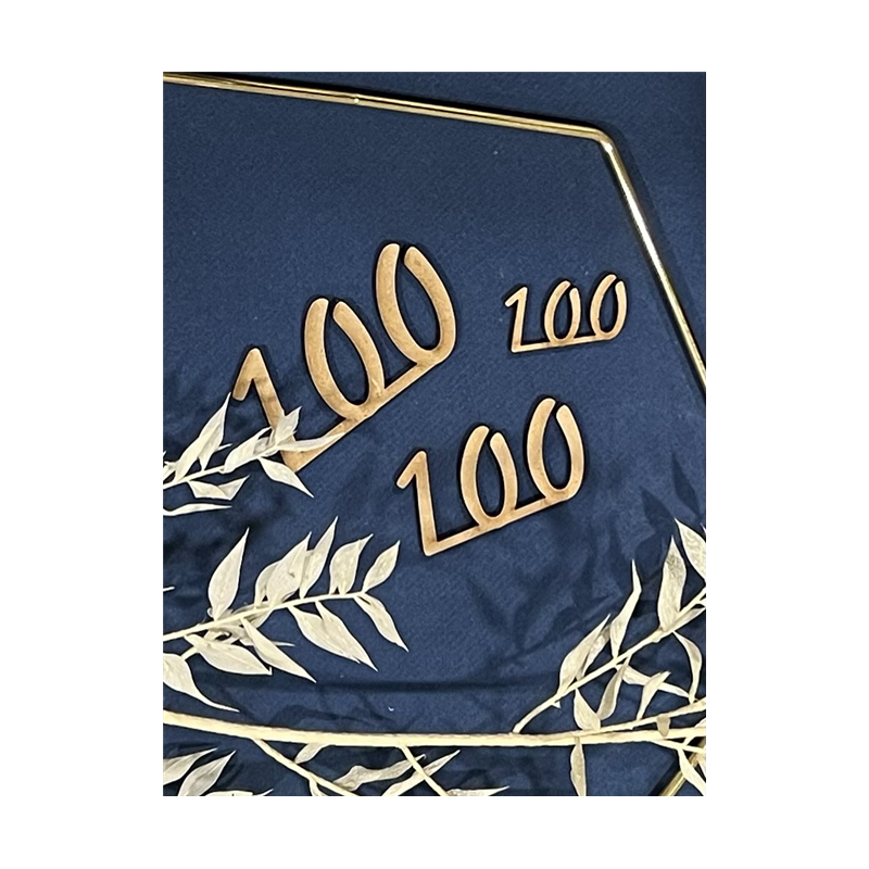 100 ans Banner
