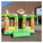 JUNGLE 4m20/3m50 image